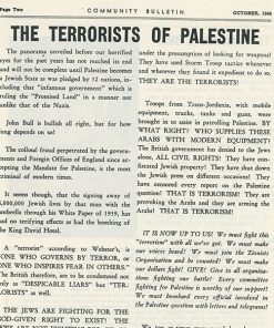 Community Bulletin Article on Palestine