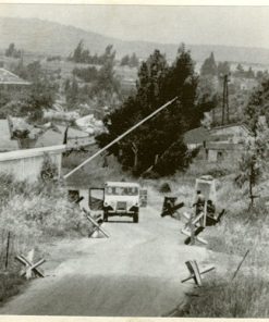 Near Quneitra, Golan Heights