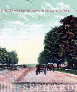 Early View of Bensonhurst, Brooklyn, NY